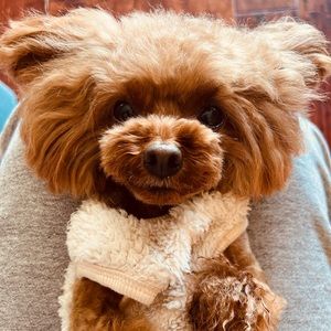 Meet your Posher, Peter